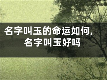 名字叫玉的命运如何,名字叫玉好吗