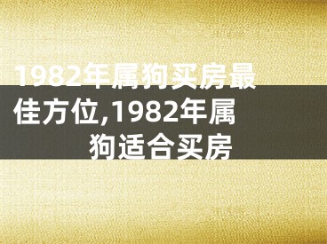 1982年属狗买房最佳方位,1982年属狗适合买房