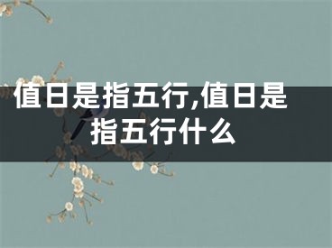 值日是指五行,值日是指五行什么