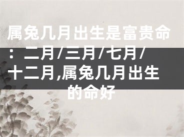 属兔几月出生是富贵命：二月/三月/七月/十二月,属兔几月出生的命好