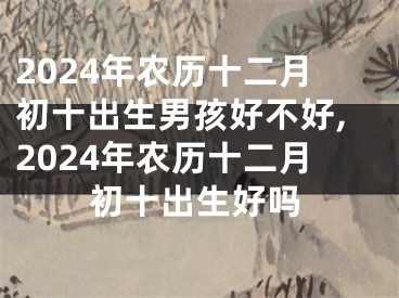 2024年农历十二月初十出生男孩好不好,2024年农历十二月初十出生好吗