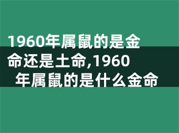 1960年属鼠的是金命还是土命,1960年属鼠的是什么金命