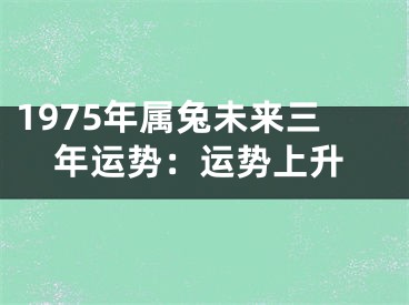 1975年属兔未来三年运势：运势上升
