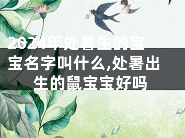 2024年处暑生的宝宝名字叫什么,处暑出生的鼠宝宝好吗