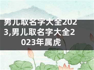 男儿取名字大全2023,男儿取名字大全2023年属虎