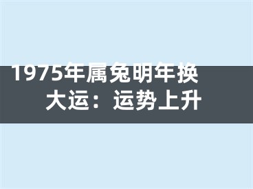 1975年属兔明年换大运：运势上升