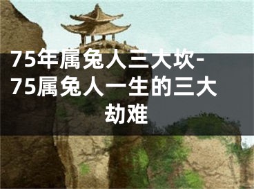 75年属兔人三大坎-75属兔人一生的三大劫难