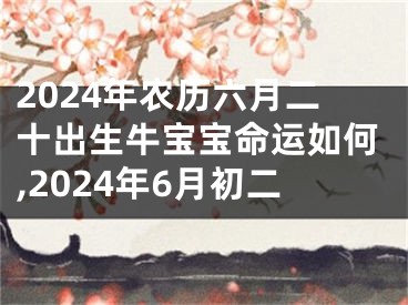 2024年农历六月二十出生牛宝宝命运如何,2024年6月初二
