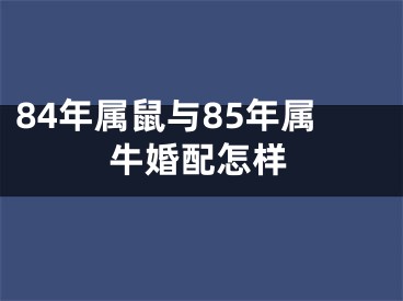 84年属鼠与85年属牛婚配怎样