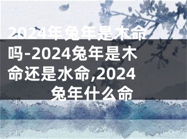 2024年兔年是木命吗-2024兔年是木命还是水命,2024兔年什么命