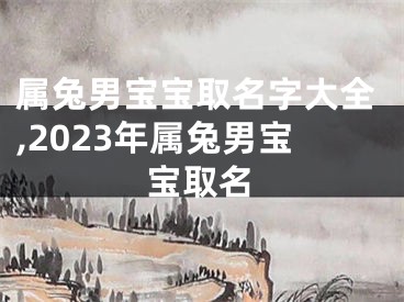 属兔男宝宝取名字大全,2023年属兔男宝宝取名