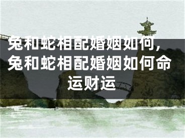 兔和蛇相配婚姻如何,兔和蛇相配婚姻如何命运财运