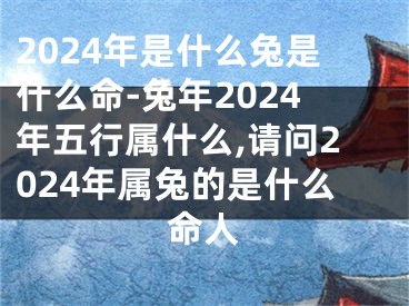 2024年是什么兔是什么命-兔年2024年五行属什么,请问2024年属兔的是什么命人