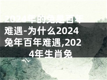2024年的兔是百年难遇-为什么2024兔年百年难遇,2024年生肖兔