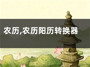农历,农历阳历转换器