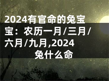 2024有官命的兔宝宝：农历一月/三月/六月/九月,2024兔什么命