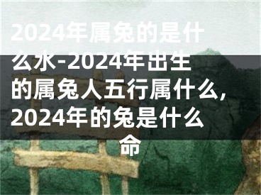 2024年属兔的是什么水-2024年出生的属兔人五行属什么,2024年的兔是什么命