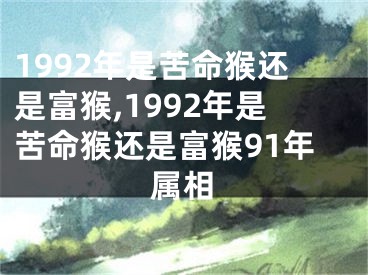 1992年是苦命猴还是富猴,1992年是苦命猴还是富猴91年属相