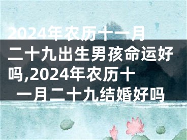 2024年农历十一月二十九出生男孩命运好吗,2024年农历十一月二十九结婚好吗