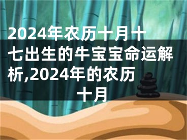 2024年农历十月十七出生的牛宝宝命运解析,2024年的农历十月