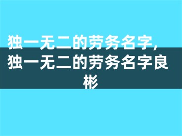 独一无二的劳务名字,独一无二的劳务名字良彬