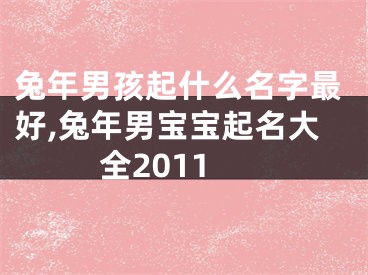 兔年男孩起什么名字最好,兔年男宝宝起名大全2011