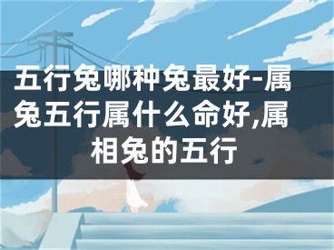 五行兔哪种兔最好-属兔五行属什么命好,属相兔的五行