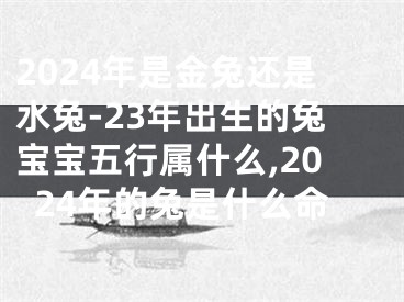 2024年是金兔还是水兔-23年出生的兔宝宝五行属什么,2024年的兔是什么命