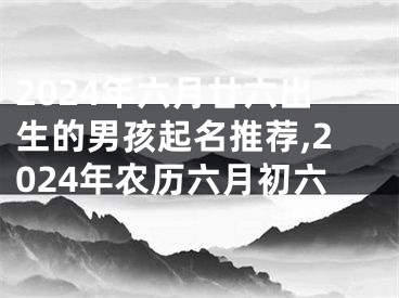 2024年六月廿六出生的男孩起名推荐,2024年农历六月初六