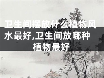 卫生间摆放什么植物风水最好,卫生间放哪种植物最好