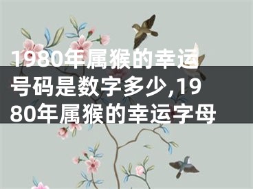 1980年属猴的幸运号码是数字多少,1980年属猴的幸运字母