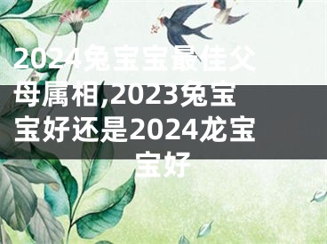 2024兔宝宝最佳父母属相,2023兔宝宝好还是2024龙宝宝好