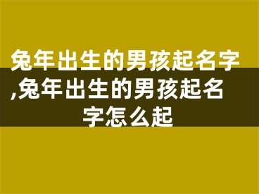 兔年出生的男孩起名字,兔年出生的男孩起名字怎么起
