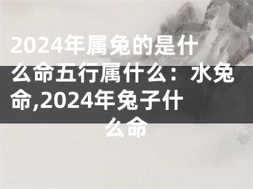 2024年属兔的是什么命五行属什么：水兔命,2024年兔子什么命
