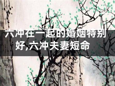 六冲在一起的婚姻特别好,六冲夫妻短命