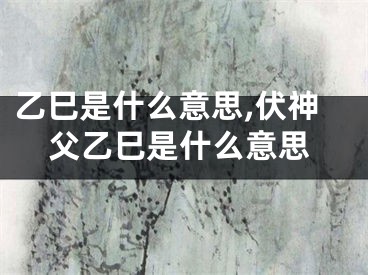 乙巳是什么意思,伏神父乙巳是什么意思