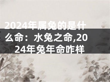 2024年属兔的是什么命：水兔之命,2024年兔年命咋样