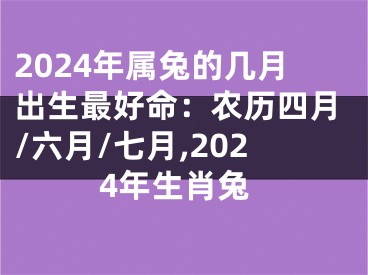 2024年属兔的几月出生最好命：农历四月/六月/七月,2024年生肖兔