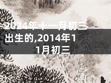 2024年十一月初三出生的,2014年11月初三