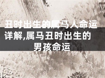 丑时出生的属马人命运详解,属马丑时出生的男孩命运