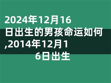 2024年12月16日出生的男孩命运如何,2014年12月16日出生
