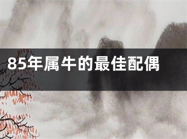 85年属牛的最佳配偶