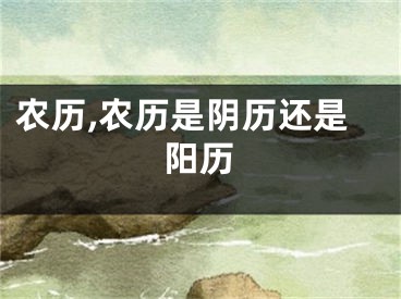 农历,农历是阴历还是阳历