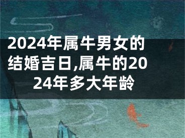 2024年属牛男女的结婚吉日,属牛的2024年多大年龄