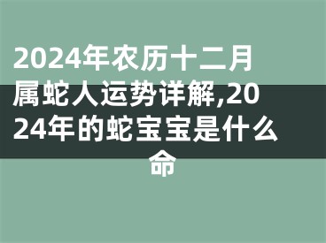 2024年农历十二月属蛇人运势详解,2024年的蛇宝宝是什么命