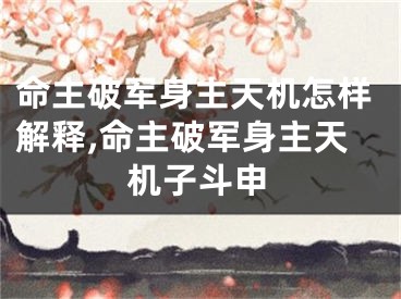 命主破军身主天机怎样解释,命主破军身主天机子斗申