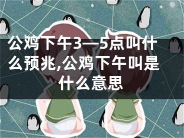 公鸡下午3—5点叫什么预兆,公鸡下午叫是什么意思