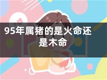 95年属猪的是火命还是木命