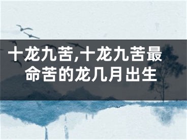 十龙九苦,十龙九苦最命苦的龙几月出生