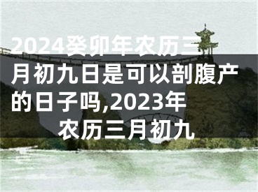 2024癸卯年农历三月初九日是可以剖腹产的日子吗,2023年农历三月初九